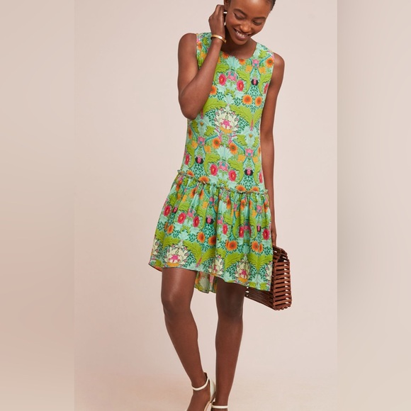 Anthropologie Garden Drop Waist Siddhartha Basal  Floral Dress‎ Size Small - Picture 1 of 14